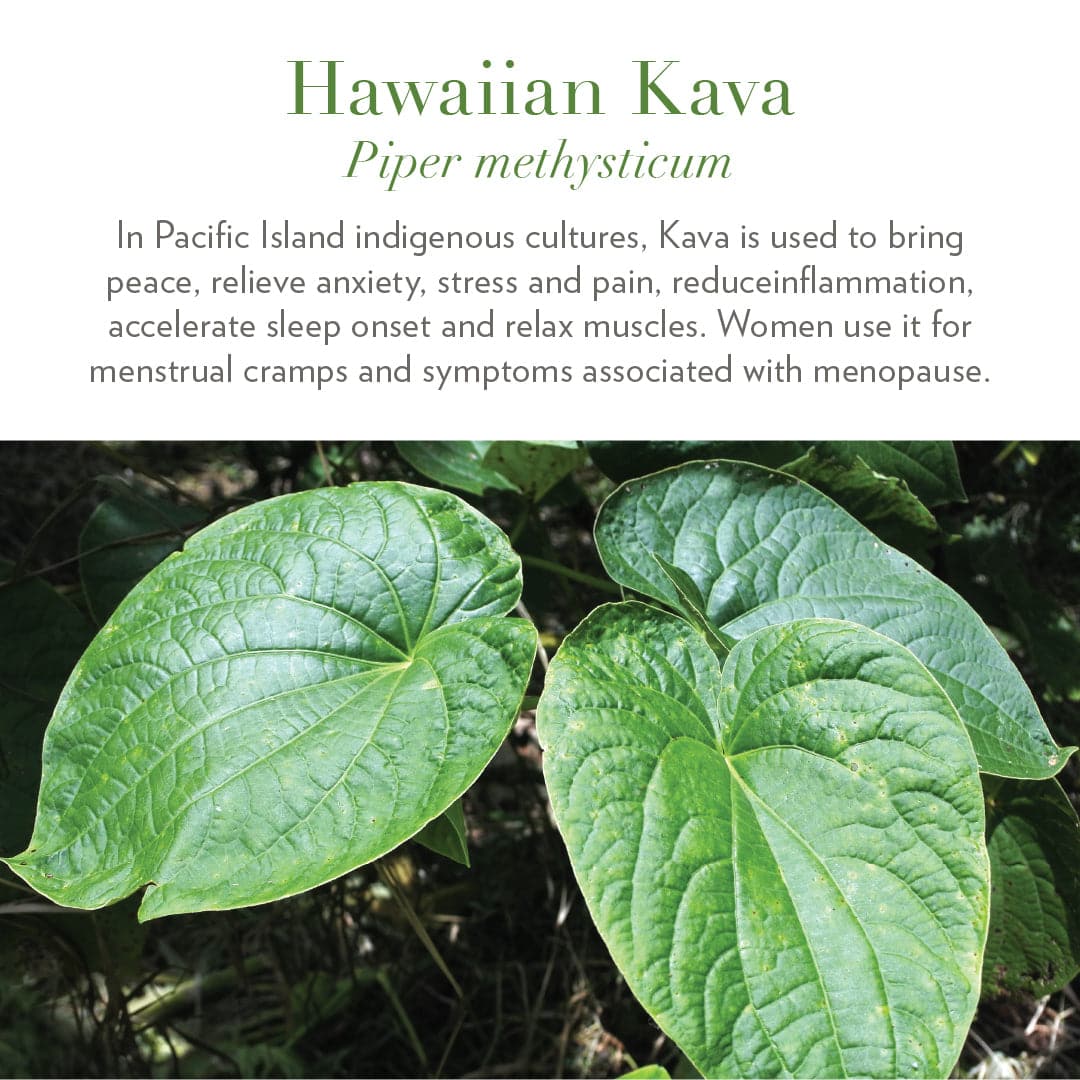 Ease: Hawaiian Kava Gummies - Image 4