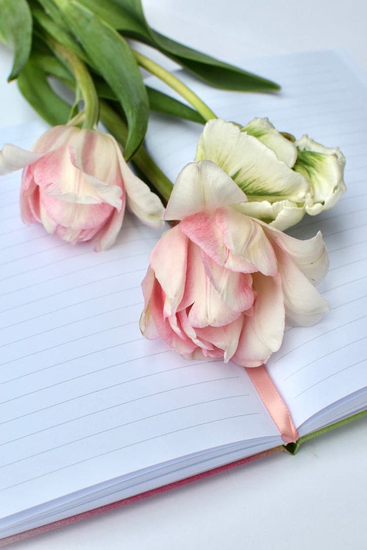 Reverence Journal - Image 3
