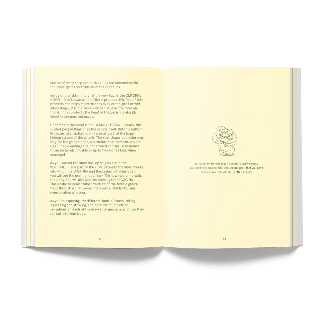 The Invitation Daily Love for Your Intimate Self - Image 5
