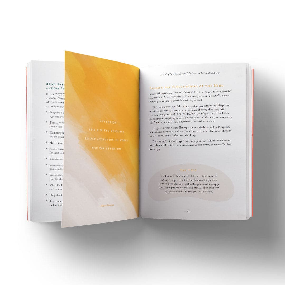The Nine Gifts First Aid for Mind, Body and Spirit - Image 3